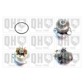 Pompe à eau QUINTON HAZELL OEM 1201F2 Pompe à eau QUINTON HAZELL OEM 1201F2