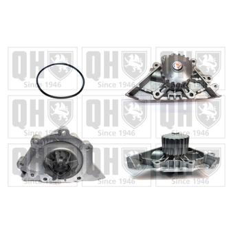 Pompe à eau QUINTON HAZELL OEM 1201F5 Pompe à eau QUINTON HAZELL OEM 1201F5