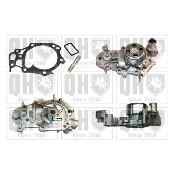 Pompe à eau QUINTON HAZELL OEM 8200266947