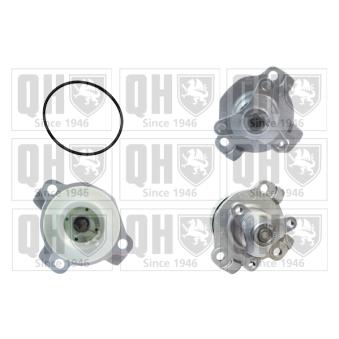 Pompe à eau QUINTON HAZELL QCP3662 pour PEUGEOT 306 2.0 dCi 130 - 131cv