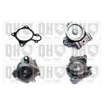 Pompe à eau QUINTON HAZELL OEM 504248581 Pompe à eau QUINTON HAZELL OEM 504248581