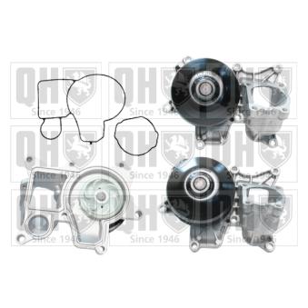 Pompe à eau QUINTON HAZELL QCP3680 pour BMW Série 3 316 d - 116cv