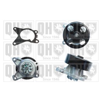 Pompe à eau QUINTON HAZELL OEM B10101GZ0A