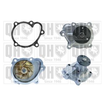 Pompe à eau QUINTON HAZELL OEM 98003100