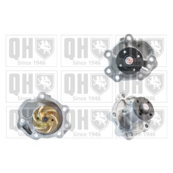 Pompe à eau QUINTON HAZELL OEM 4711508 Pompe à eau QUINTON HAZELL OEM 4711508