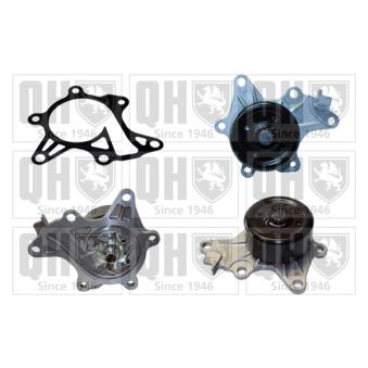 Pompe à eau QUINTON HAZELL OEM 1610039526