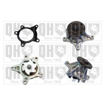 Pompe à eau QUINTON HAZELL OEM 251002B710