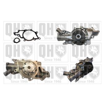 Pompe à eau QUINTON HAZELL OEM 6472000101