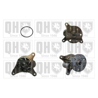 Pompe à eau QUINTON HAZELL QCP3796 pour PEUGEOT 307 3.0 HDi - 211cv