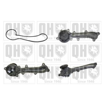 Pompe à eau QUINTON HAZELL OEM 1322010000 Pompe à eau QUINTON HAZELL OEM 1322010000