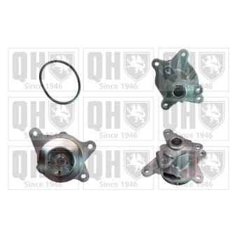 Pompe à eau QUINTON HAZELL QCP3829 pour MERCEDES-BENZ CLK 1.6 dCi - 131cv