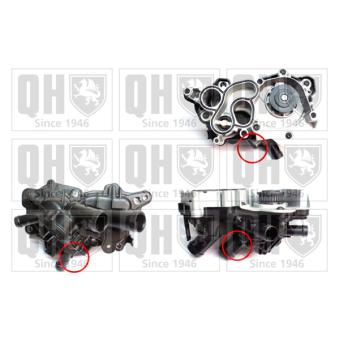 Pompe à eau QUINTON HAZELL OEM 04E121600P