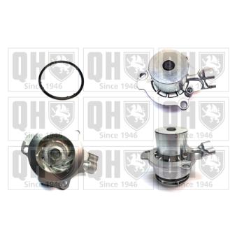 Pompe à eau QUINTON HAZELL OEM 4L121011H Pompe à eau QUINTON HAZELL OEM 4L121011H