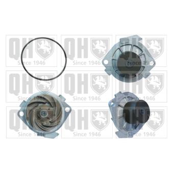 Pompe à eau QUINTON HAZELL OEM 7762925