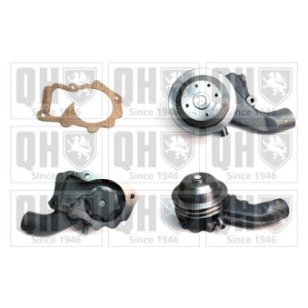 Pompe à eau QUINTON HAZELL OEM 2701605 Pompe à eau QUINTON HAZELL OEM 2701605