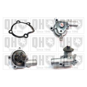 Pompe à eau QUINTON HAZELL OEM 19109800