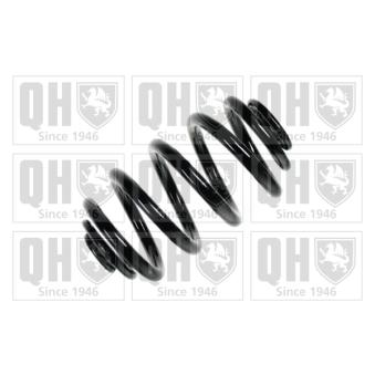 Ressort de suspension QUINTON HAZELL OEM 33533413079