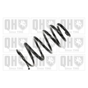 Ressort de suspension QUINTON HAZELL OEM 6025306396