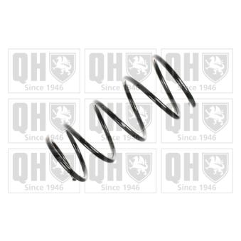 Ressort de suspension QUINTON HAZELL OEM 481311G250 Ressort de suspension QUINTON HAZELL OEM 481311G250