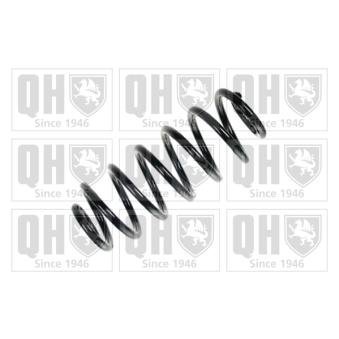 Ressort de suspension QUINTON HAZELL QCS7109 pour AUDI TT 1.8 T - 190cv
