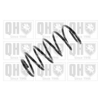 Ressort de suspension QUINTON HAZELL OEM 6K0411105L