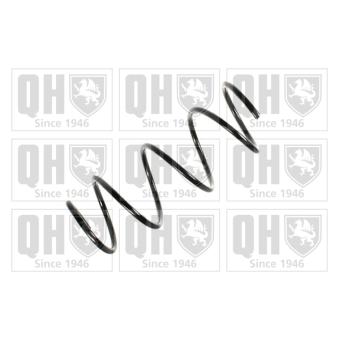 Ressort de suspension QUINTON HAZELL OEM 8200193024