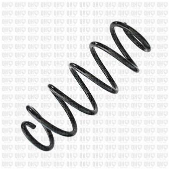 Ressort de suspension QUINTON HAZELL OEM 4131163J10 Ressort de suspension QUINTON HAZELL OEM 4131163J10