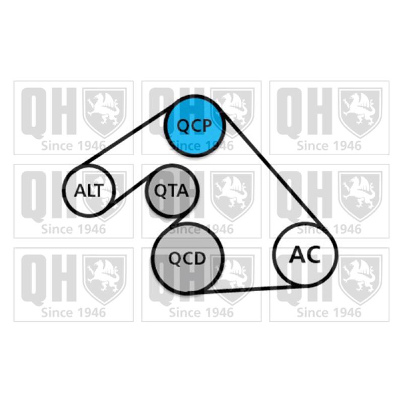 Jeu de courroies trapézoïdales à nervures QUINTON HAZELL QDK120 - Visuel 1