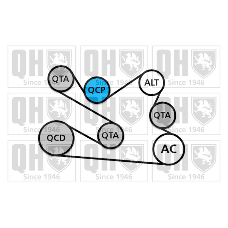 Jeu de courroies trapézoïdales à nervures QUINTON HAZELL QDK136 - Visuel 1
