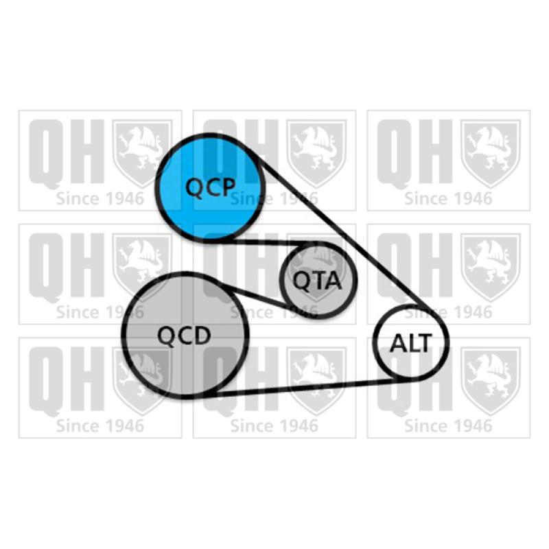Jeu de courroies trapézoïdales à nervures QUINTON HAZELL QDK138 - Visuel 1