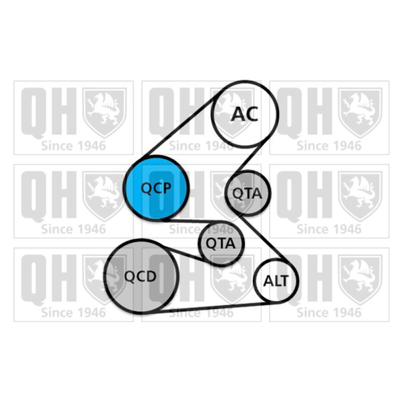 Jeu de courroies trapézoïdales à nervures QUINTON HAZELL QDK143 - Visuel 1