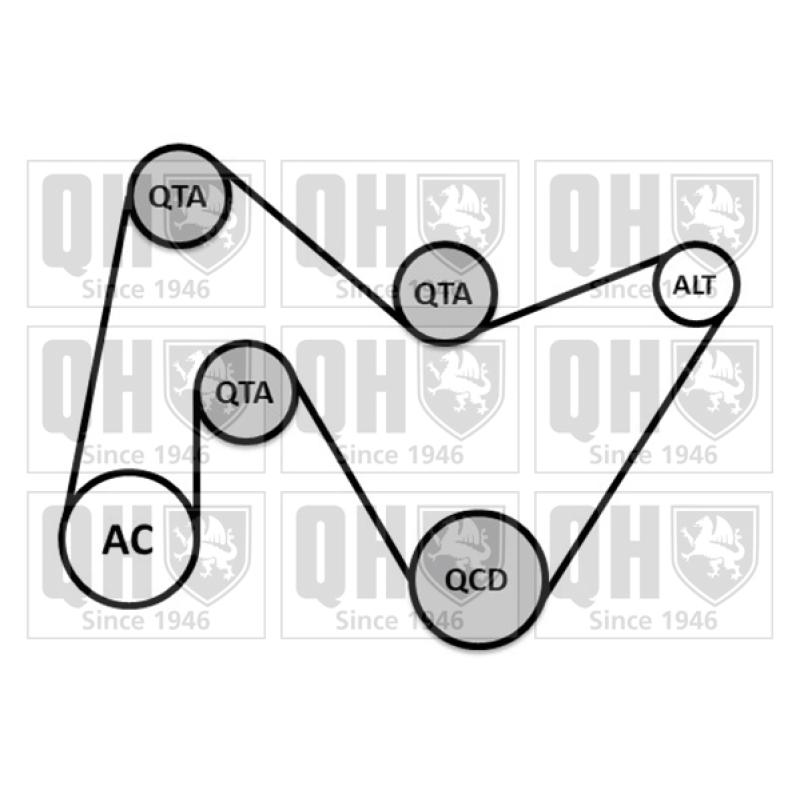 Jeu de courroies trapézoïdales à nervures QUINTON HAZELL QDK146 - Visuel 1