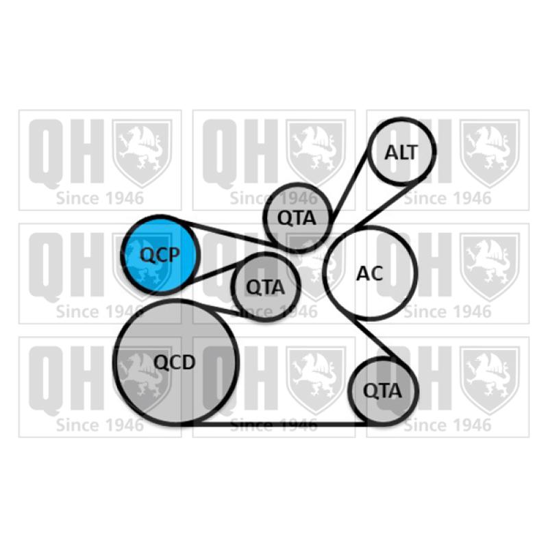 Jeu de courroies trapézoïdales à nervures QUINTON HAZELL QDK148 - Visuel 1