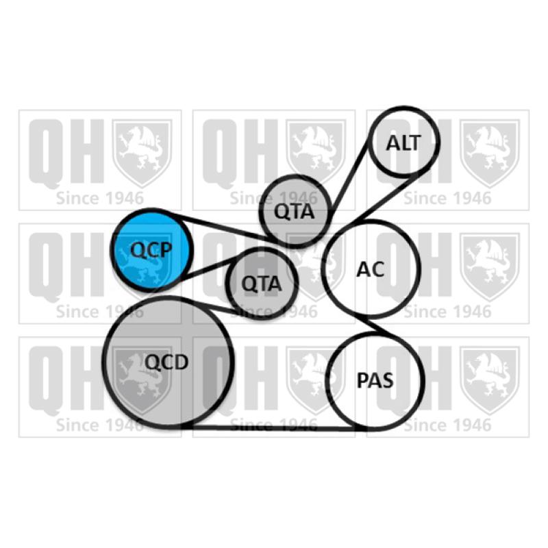 Jeu de courroies trapézoïdales à nervures QUINTON HAZELL QDK149 - Visuel 1
