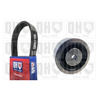 Jeu de courroies trapézoïdales à nervures QUINTON HAZELL [QDK29]