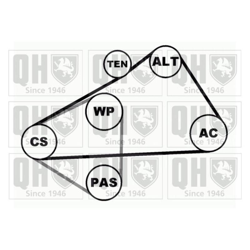 Jeu de courroies trapézoïdales à nervures QUINTON HAZELL QDK37 - Visuel 1
