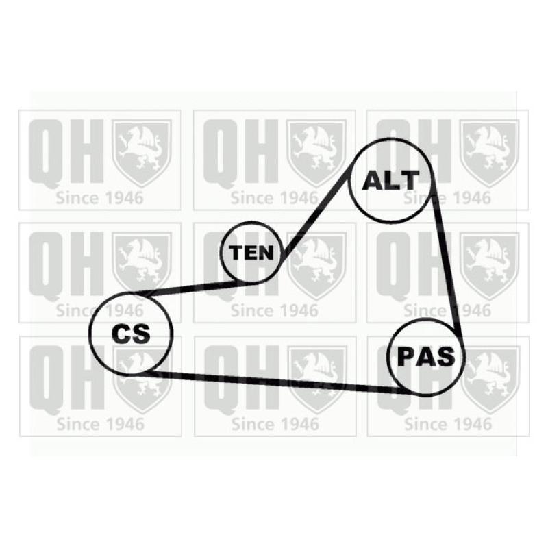 Jeu de courroies trapézoïdales à nervures QUINTON HAZELL QDK39 - Visuel 1
