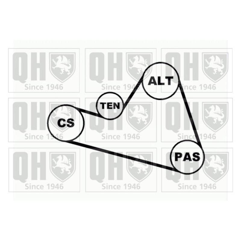 Jeu de courroies trapézoïdales à nervures QUINTON HAZELL QDK39 - Visuel 2