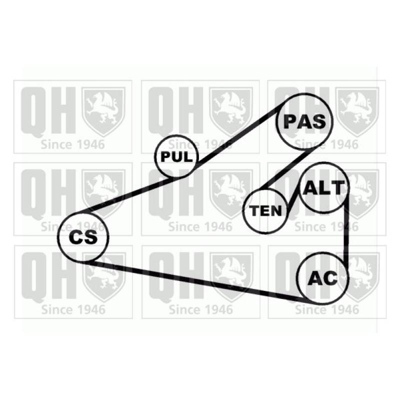 Jeu de courroies trapézoïdales à nervures QUINTON HAZELL QDK4 - Visuel 1