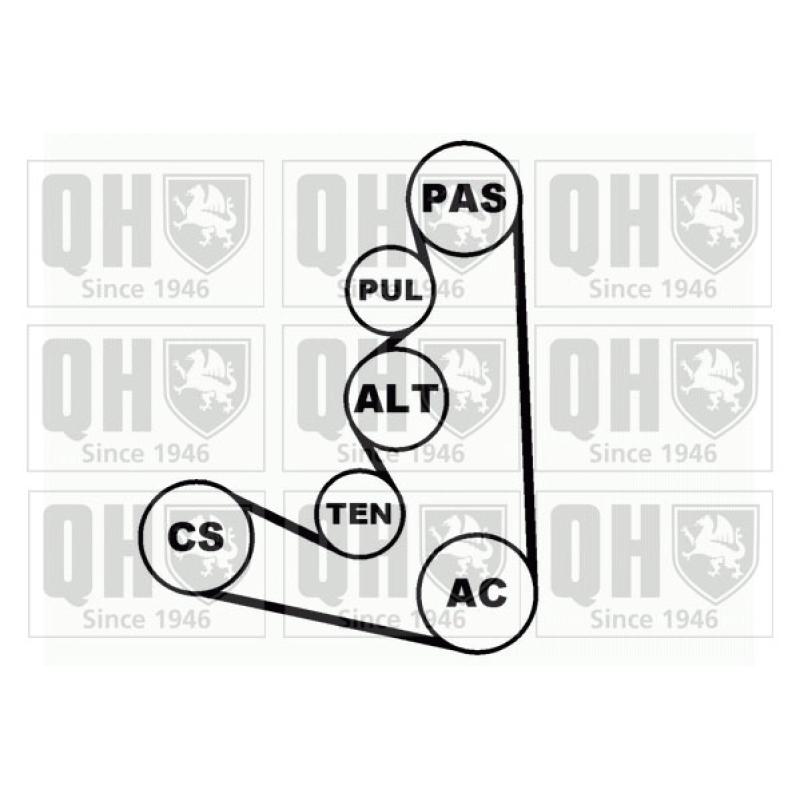 Jeu de courroies trapézoïdales à nervures QUINTON HAZELL QDK6 - Visuel 1