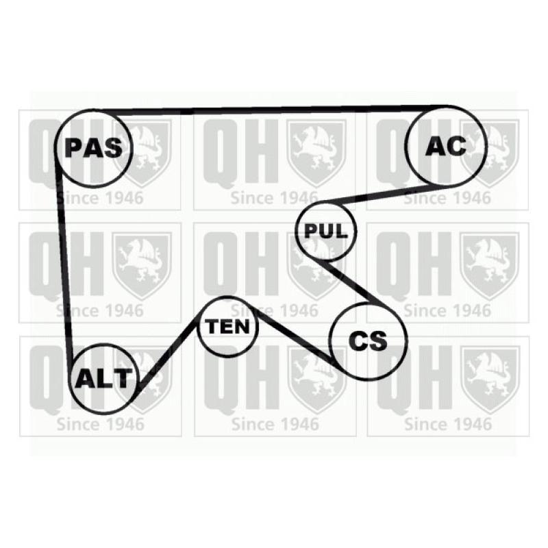 Jeu de courroies trapézoïdales à nervures QUINTON HAZELL QDK62 - Visuel 1