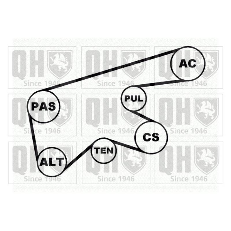 Jeu de courroies trapézoïdales à nervures QUINTON HAZELL QDK62 - Visuel 2