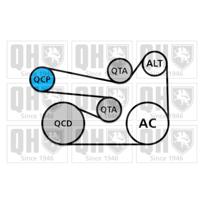 Jeu de courroies trapézoïdales à nervures QUINTON HAZELL QDK98 - Visuel 1