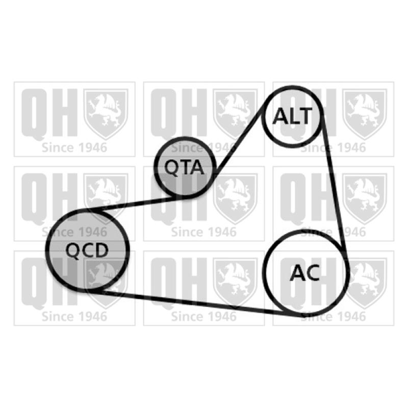 Jeu de courroies trapézoïdales à nervures QUINTON HAZELL QDK99 - Visuel 1