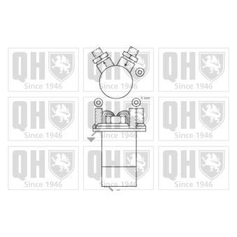 Pompe à carburant QUINTON HAZELL QFP170E