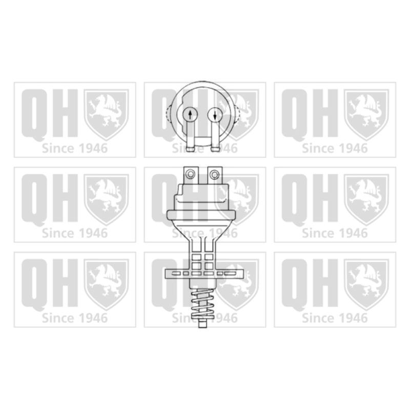 Pompe à carburant QUINTON HAZELL QFP298 - Visuel 1