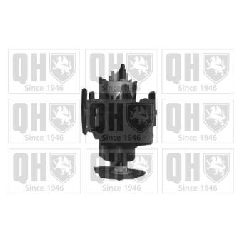 Pompe à carburant QUINTON HAZELL OEM 16141183009