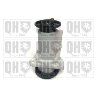 Pompe à carburant QUINTON HAZELL OEM 357906091A