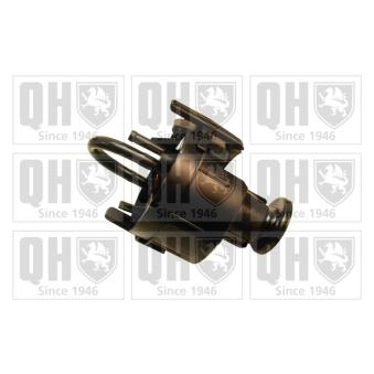 Unité d'injection de carburant QUINTON HAZELL OEM 16141180053