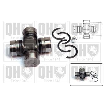 Croisillon, satellite-différentiel QUINTON HAZELL OEM 215889251